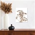 Picture of Angelica Plant _GroupedProduct_Rectangle_Portrait_Canvas_