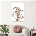 Picture of Angelica Plant _GroupedProduct_Rectangle_Portrait_Canvas_
