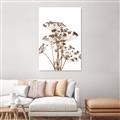 Picture of Angelica Plant _GroupedProduct_Rectangle_Portrait_Canvas_