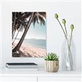 Picture of Beach Palms  _GroupedProduct_Rectangle_Portrait_Photography _GroupedProduct_Rectangle_Portrait_Canvas_