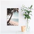 Picture of Beach Palms  _GroupedProduct_Rectangle_Portrait_Photography _GroupedProduct_Rectangle_Portrait_Canvas_