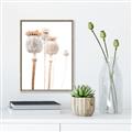 Picture of About to Bloom  _GroupedProduct_Rectangle_Portrait_Photography _GroupedProduct_Rectangle_Portrait_Canvas_Framed_