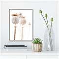 Picture of About to Bloom  _GroupedProduct_Rectangle_Portrait_Photography _GroupedProduct_Rectangle_Portrait_Canvas_Framed_