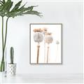 Picture of About to Bloom  _GroupedProduct_Rectangle_Portrait_Photography _GroupedProduct_Rectangle_Portrait_Canvas_Framed_