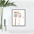 Picture of About to Bloom  _GroupedProduct_Rectangle_Portrait_Photography _GroupedProduct_Rectangle_Portrait_Canvas_Framed_