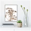 Picture of Angelica Plant _GroupedProduct_Rectangle_Portrait_Canvas_Framed_