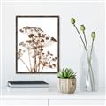 Picture of Angelica Plant _GroupedProduct_Rectangle_Portrait_Canvas_Framed_