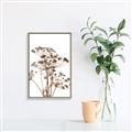 Picture of Angelica Plant _GroupedProduct_Rectangle_Portrait_Canvas_Framed_