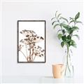 Picture of Angelica Plant _GroupedProduct_Rectangle_Portrait_Canvas_Framed_