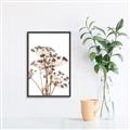 Picture of Angelica Plant _GroupedProduct_Rectangle_Portrait_Canvas_Framed_