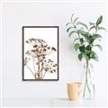 Picture of Angelica Plant _GroupedProduct_Rectangle_Portrait_Canvas_Framed_