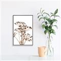 Picture of Angelica Plant _GroupedProduct_Rectangle_Portrait_Canvas_Framed_
