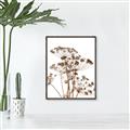 Picture of Angelica Plant _GroupedProduct_Rectangle_Portrait_Canvas_Framed_