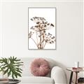 Picture of Angelica Plant _GroupedProduct_Rectangle_Portrait_Canvas_Framed_