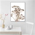 Picture of Angelica Plant _GroupedProduct_Rectangle_Portrait_Canvas_Framed_