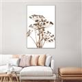Picture of Angelica Plant _GroupedProduct_Rectangle_Portrait_Canvas_Framed_
