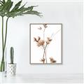 Picture of Aster Flower  _GroupedProduct_Rectangle_Portrait_Photography _GroupedProduct_Rectangle_Portrait_Canvas_Framed_
