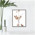 Picture of Aster Flower  _GroupedProduct_Rectangle_Portrait_Photography _GroupedProduct_Rectangle_Portrait_Canvas_Framed_