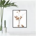 Picture of Aster Flower  _GroupedProduct_Rectangle_Portrait_Photography _GroupedProduct_Rectangle_Portrait_Canvas_Framed_