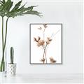 Picture of Aster Flower  _GroupedProduct_Rectangle_Portrait_Photography _GroupedProduct_Rectangle_Portrait_Canvas_Framed_