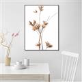 Picture of Aster Flower  _GroupedProduct_Rectangle_Portrait_Photography _GroupedProduct_Rectangle_Portrait_Canvas_Framed_
