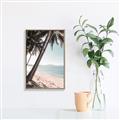 Picture of Beach Palms  _GroupedProduct_Rectangle_Portrait_Photography _GroupedProduct_Rectangle_Portrait_Canvas_Framed_