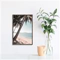Picture of Beach Palms  _GroupedProduct_Rectangle_Portrait_Photography _GroupedProduct_Rectangle_Portrait_Canvas_Framed_
