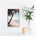 Picture of Beach Palms  _GroupedProduct_Rectangle_Portrait_Photography _GroupedProduct_Rectangle_Portrait_Canvas_Framed_