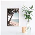 Picture of Beach Palms  _GroupedProduct_Rectangle_Portrait_Photography _GroupedProduct_Rectangle_Portrait_Canvas_Framed_