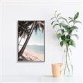 Picture of Beach Palms  _GroupedProduct_Rectangle_Portrait_Photography _GroupedProduct_Rectangle_Portrait_Canvas_Framed_