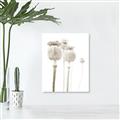 Picture of About to Bloom  _GroupedProduct_Rectangle_Portrait_Photography _GroupedProduct_Rectangle_Portrait_Unframed_Print_Only_