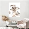 Picture of Angelica Plant _GroupedProduct_Rectangle_Portrait_Unframed_Print_Only_
