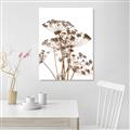Picture of Angelica Plant _GroupedProduct_Rectangle_Portrait_Unframed_Print_Only_
