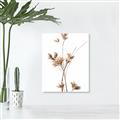 Picture of Aster Flower  _GroupedProduct_Rectangle_Portrait_Photography _GroupedProduct_Rectangle_Portrait_Unframed_Print_Only_