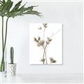 Picture of Aster Flower  _GroupedProduct_Rectangle_Portrait_Photography _GroupedProduct_Rectangle_Portrait_Unframed_Print_Only_