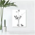 Picture of Aster Flower  _GroupedProduct_Rectangle_Portrait_Photography _GroupedProduct_Rectangle_Portrait_Unframed_Print_Only_
