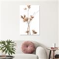 Picture of Aster Flower  _GroupedProduct_Rectangle_Portrait_Photography _GroupedProduct_Rectangle_Portrait_Unframed_Print_Only_