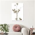Picture of Aster Flower  _GroupedProduct_Rectangle_Portrait_Photography _GroupedProduct_Rectangle_Portrait_Unframed_Print_Only_