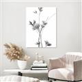 Picture of Aster Flower  _GroupedProduct_Rectangle_Portrait_Photography _GroupedProduct_Rectangle_Portrait_Unframed_Print_Only_