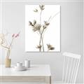 Picture of Aster Flower  _GroupedProduct_Rectangle_Portrait_Photography _GroupedProduct_Rectangle_Portrait_Unframed_Print_Only_