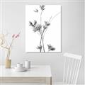 Picture of Aster Flower  _GroupedProduct_Rectangle_Portrait_Photography _GroupedProduct_Rectangle_Portrait_Unframed_Print_Only_
