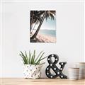 Picture of Beach Palms  _GroupedProduct_Rectangle_Portrait_Photography _GroupedProduct_Rectangle_Portrait_Unframed_Print_Only_