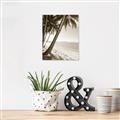 Picture of Beach Palms  _GroupedProduct_Rectangle_Portrait_Photography _GroupedProduct_Rectangle_Portrait_Unframed_Print_Only_