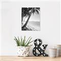 Picture of Beach Palms  _GroupedProduct_Rectangle_Portrait_Photography _GroupedProduct_Rectangle_Portrait_Unframed_Print_Only_