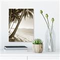 Picture of Beach Palms  _GroupedProduct_Rectangle_Portrait_Photography _GroupedProduct_Rectangle_Portrait_Unframed_Print_Only_
