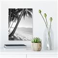 Picture of Beach Palms  _GroupedProduct_Rectangle_Portrait_Photography _GroupedProduct_Rectangle_Portrait_Unframed_Print_Only_