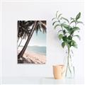 Picture of Beach Palms  _GroupedProduct_Rectangle_Portrait_Photography _GroupedProduct_Rectangle_Portrait_Unframed_Print_Only_