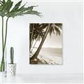 Picture of Beach Palms  _GroupedProduct_Rectangle_Portrait_Photography _GroupedProduct_Rectangle_Portrait_Unframed_Print_Only_