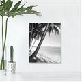 Picture of Beach Palms  _GroupedProduct_Rectangle_Portrait_Photography _GroupedProduct_Rectangle_Portrait_Unframed_Print_Only_