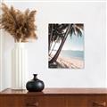 Picture of Beach Palms  _GroupedProduct_Rectangle_Portrait_Photography _GroupedProduct_Rectangle_Portrait_Unframed_Print_Only_